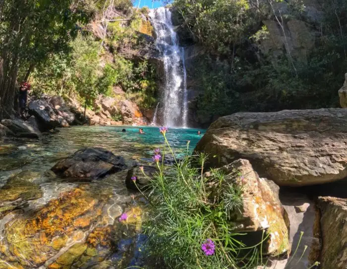 Cerrado Vivo: Ervas Medicinais e Cachoeiras na Chapada dos Veadeiros