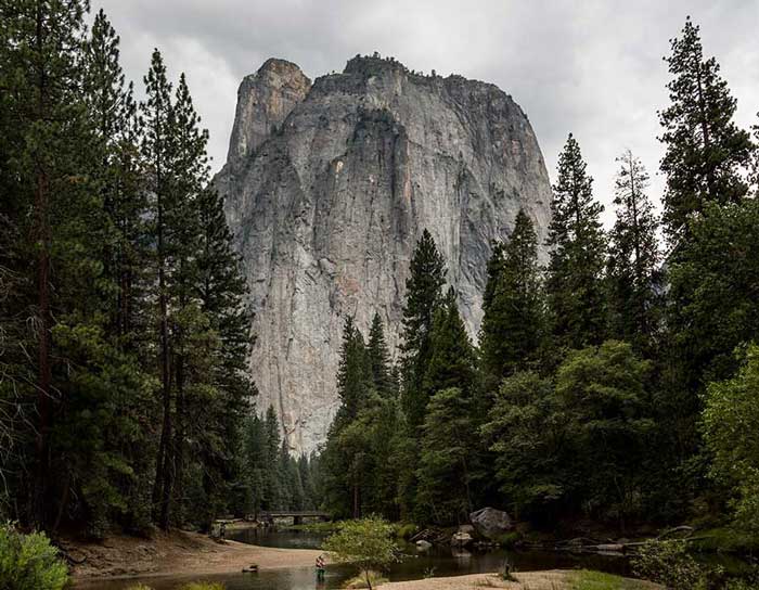 Cerrado Vivo: Ervas Medicinais e Cachoeiras na Chapada dos Veadeiros