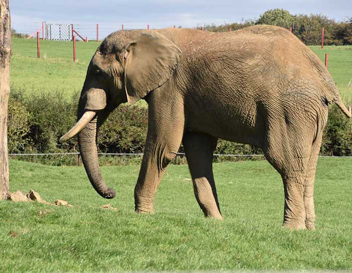 Águas Cristalinas do Quilombo Kalunga & Alto Paraíso